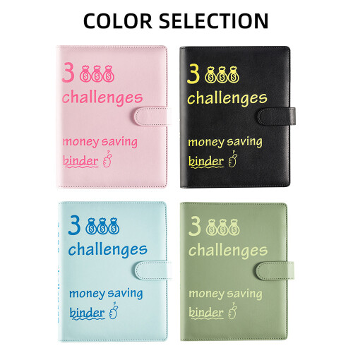 100 Buste Budget Binder 177x288mm Rosa 1
