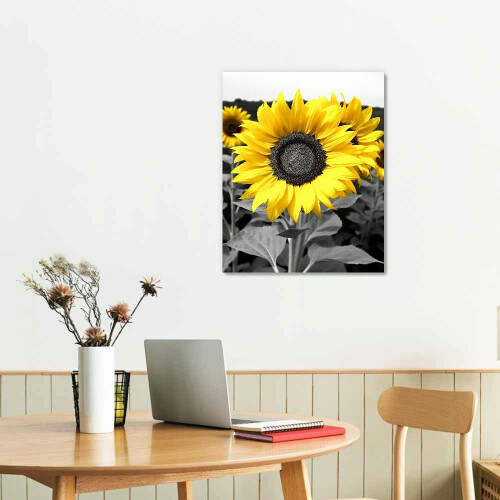 Černobílá slunečnice na zeď 16x20 palců 1