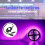 PIR-bevegelsessensorlysbryter DC5V-24V5A3-pakning 2