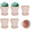 Rosa terrakottakrukor med fat, 6-pack 1