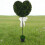 Herzförmiger Buchsbaum-Topiary, 82 cm 2