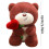Κούκλα εξομολόγησης Rose Bear για την ημέρα του Αγίου Βαλεντίνου για παιδιά και 3
