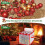 Christmas Ornament Organizer Waterproof 64-Ball Container 4