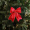 Red Furry Christmas Bow Decoration – Polyester, 1 Piece 1
