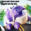 Pull String Dinosaur Toy Car – Purple, 10 cm 5