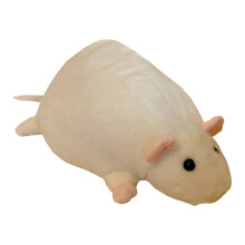 Schattig knuffeldier voor kinderen en volwassenen - Decoratief knuffeldier voor op de bank in de slaapkamer of in de speelkamer - Verkrijgbaar in