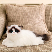 Gallickan plyschleksak, realistisk ragdollkatt gosedjur supersöt, mjuk och gosig heminredningsdetalj, present till alla åldrar djurälskare, vit