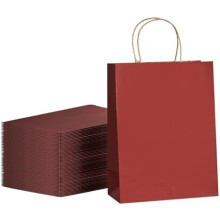 Mittelgroße Geschenktüten aus Kraftpapier (8 x 4,5 x 10,8 Zoll) – 100 Stück