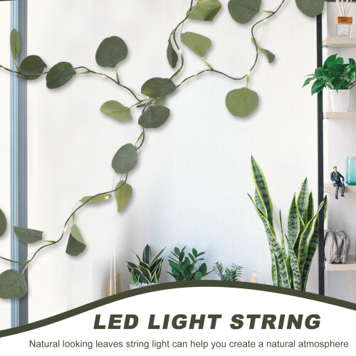 Eukalyptus-Lichterkette – 20 LEDs, Warmweiß, 200 1