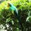 Green 25cm Realistic Parrot Simulation Toy 8