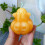 Κερί σε σχήμα κολοκύθας για το Halloween 3D - Στολίδι αρωματοθεραπείας με τρομακτικό 6