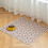 Multi-Layer Protection Pet Mat, Leak and Odor Proof Pad for Long Lasting Use 4