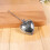 Heart-Shaped 304 Stainless Steel Tea Infuser 5