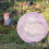 Ballon d'exercice pour cobaye et hamster (2 pièces) 6