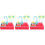3Ensembles Parrot Batterie Facile 7
