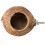 Κατοικίδιο πουλί, κέλυφος καρύδας, φωλιά, καλύβα, κλουβί, τροφοδότης, παπαγάλος, 1