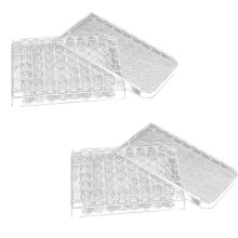 48-Well Tissue Culture Plate for Lab Equipment, 2 PCS, Cell Proliferation & Bacterial Culture