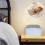 White Noise Machine with Night Light and Timer 28 Sounds 4