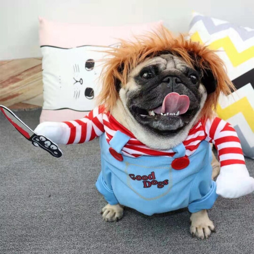 Στολή για κατοικίδια Chucky για το Halloween, θανατηφόρο παιδικό παιχνίδι, σετ ρούχων για 1