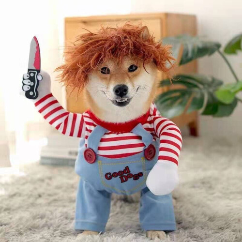 Στολή για κατοικίδια Chucky για το Halloween, θανατηφόρο παιδικό παιχνίδι, σετ ρούχων για 2