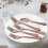 20-Piece Stainless Steel Flatware Set for4 4