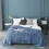 Κουβέρτα Sherpa Fleece Twin 65x90 ίντσες ανοιχτό μπλε 2