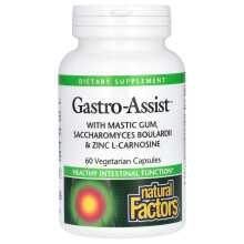 Natural Factors, Assistenza Gastro‚Ñ con Succo di Mastice, Saccharomyces Boulardii & Zinco L-Carnosina, 60 Capsule Vegetariane