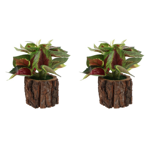 2Pièces Mini Artificielles Faciles À Pour Étagères 2
