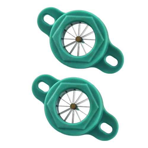 10Pièces Râpe Ciboule Vert Compact Usage Polyvalent