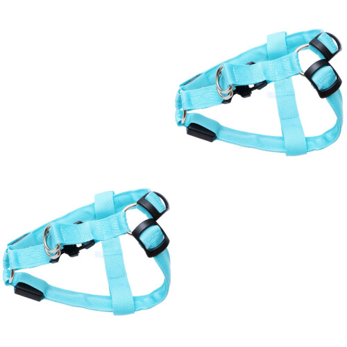 2Pièces Ensemble Laisse Nylon Pour Confortable 2