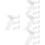 4Ensembles Support Batte Baseball Transparent En Métal 8