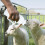 2Pièces Pour Veau Avec Durable Usage 5