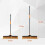 Schiebebesen, 61 cm lang mit 165 cm Stiel, steife Borsten, 2er-Set 5