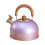 Stainless Steel Whistling Kettle2L 1