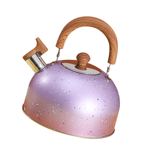 Stainless Steel Whistling Kettle2L 1