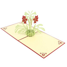 4 Pcs Greeting Cards Pop Up Greething Cards Up Cards