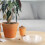 12Pièces Supports Transparants Pour Pots De Fleurs En Plastique 4
