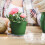12Pièces Supports Transparants Pour Pots De Fleurs En Plastique 6