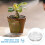12Pièces Supports Transparants Pour Pots De Fleurs En Plastique 9