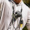 Loon Outdoors Halsvest Lanyard – Loaded 3