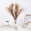 Pampas Grass Bouquet Natural Dried 100 PCS 4