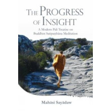 Progress of Insight