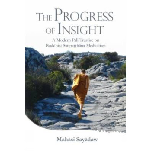 Progress of Insight