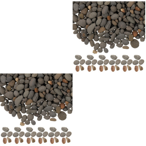 2Pièces Naturels Pour Diorama Décor Aquarium 2