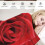 Red Rose Flannel Throw Blanket 40 x 50 in 3