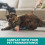Laser Pointer Cat Toy for Indoor Play 1 Pack 7