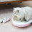 for Cat Pan Bags Drawstring Litter Box Liners Disposable Waste Bag Medium Large 5