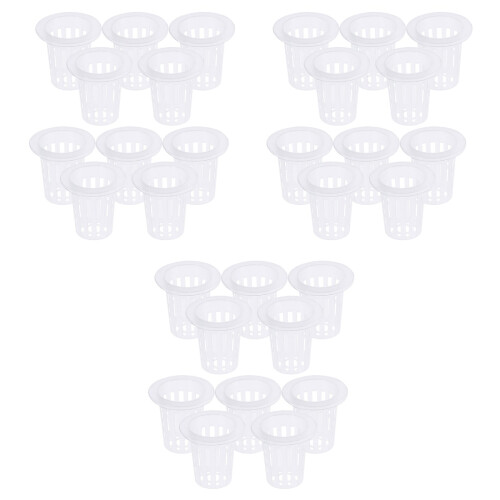 60Pièces Pots Transparente En Pour Culture Sol Hydroponie 2