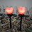 Lampes solaires Red Heart étanches pour extérieur (lot de 4) 2