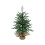 Mini Christmas Tree with Warm Lights 2ft 2